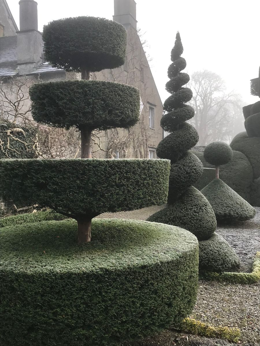 Topiary at Levens Hall, Cumbria, UK