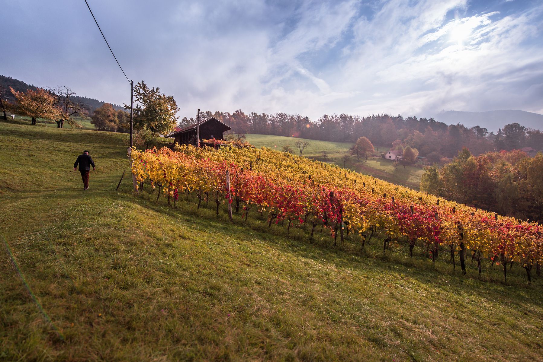 F007785-046_jesen_v_sloveniji_iztok_medja_smartno_ob_paki-photo-m.jpg
