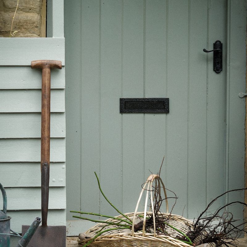 David Austin Roses champions slow living with the bare root rose revival  