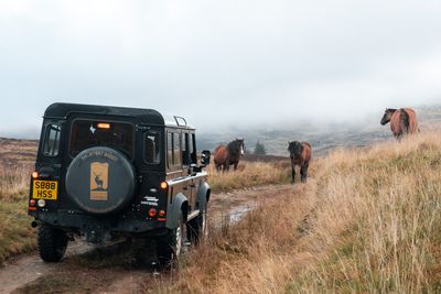 Highland Safari Dun Aluinn 4.jpg