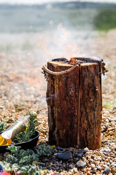 The Swedish Torch Log from Kindwood.jpg