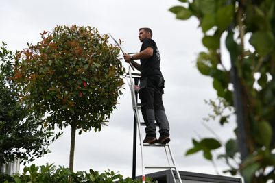 Henchman Tripod Garden Ladder - Fully Adjustable -3 Adjustable