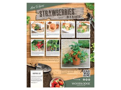 Woodlodge strawberry POS.jpg