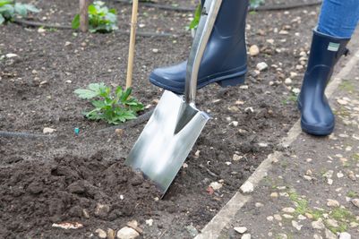 Stainless Steel Digging Spade