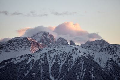 OdlesLodge-Nature-Winter-©Odles Lodge_Konstantin Volkmar (7).jpg