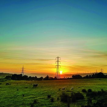 View of pylons in fields 