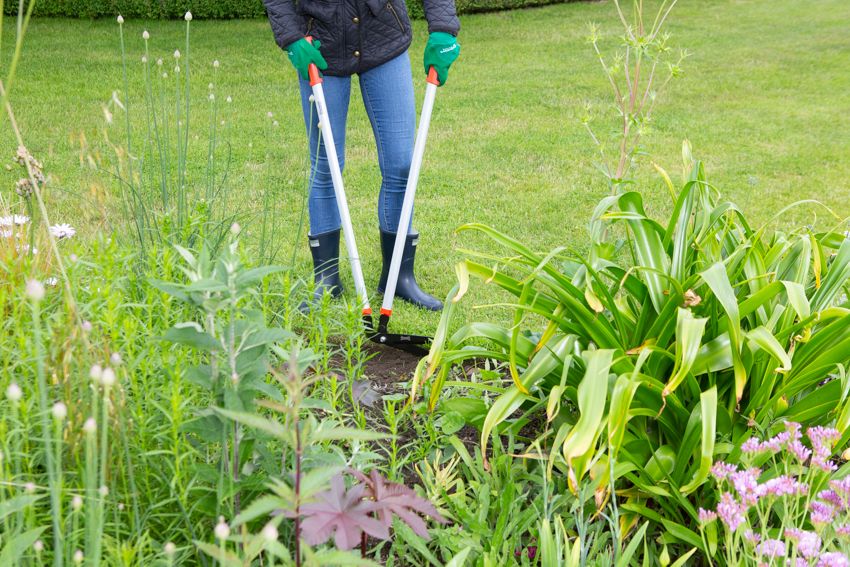 Long Handled Edging Shears