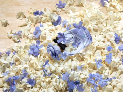 Dolce Blue Jasmine