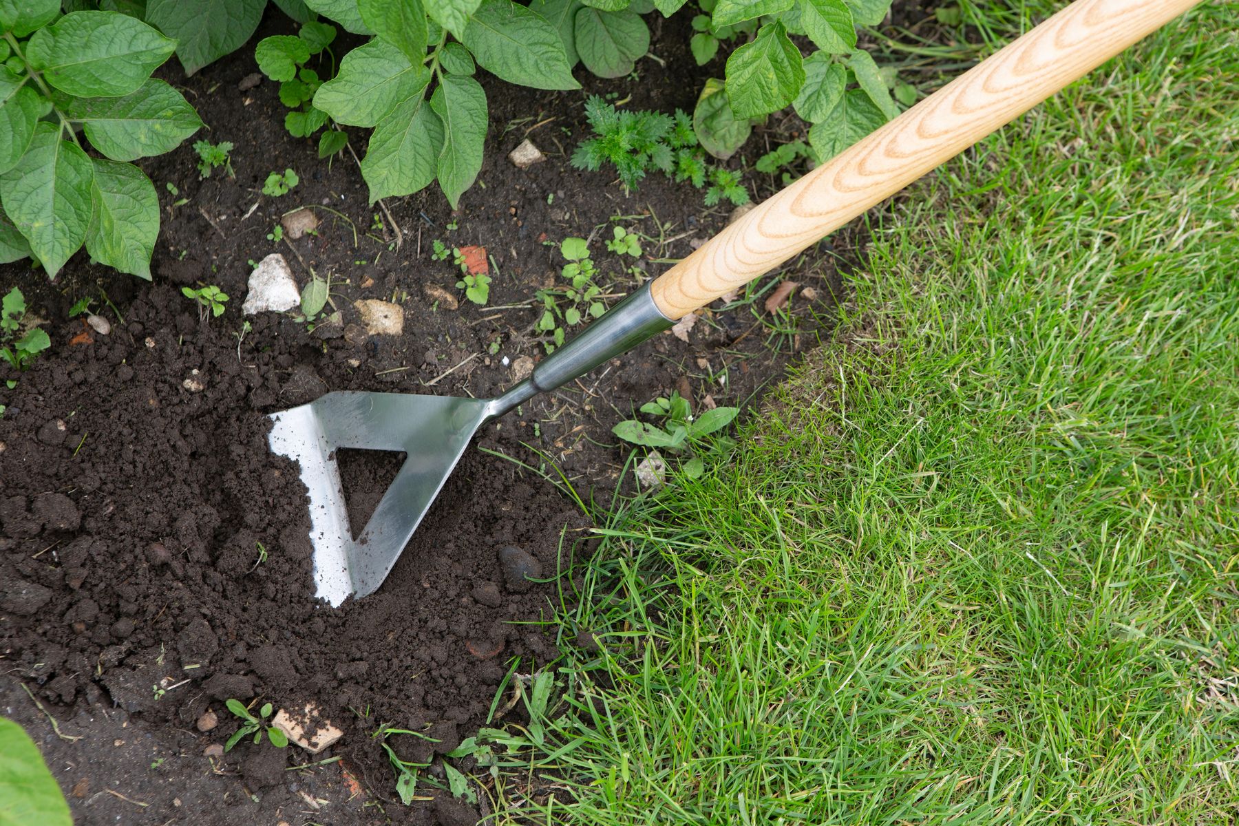 Stainless Steel Dutch Hoe.jpg