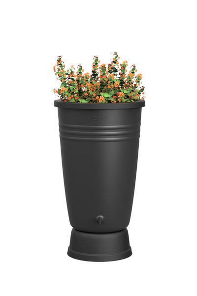 green basics rainbarrel plus 200ltr living black