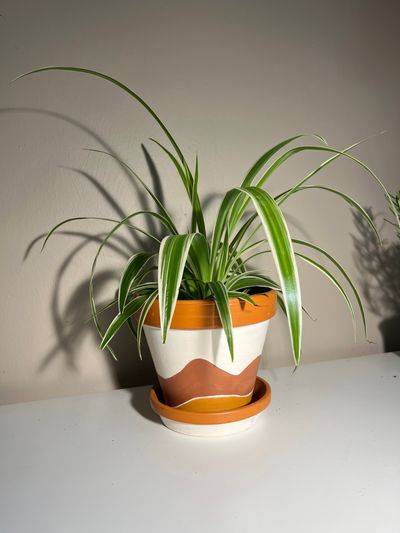 A planter of the type that can be decorated in the Levens Hall and Gardens Summer 2025 workshop.