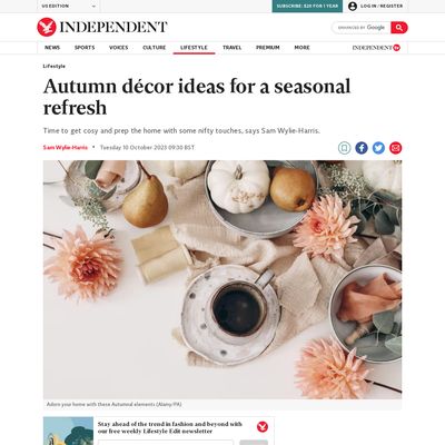 Screencapture of The Independent