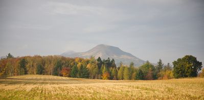 CB2A8043.jpg