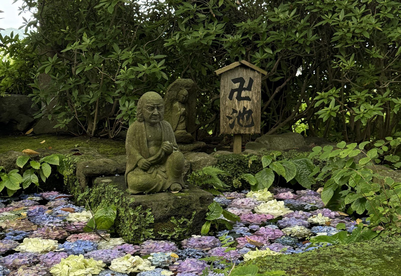 47741-1600x1100.jpg