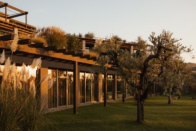 Garden_AlexMoling_CapeOfSenses-323.jpg