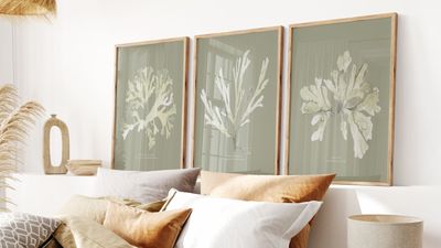 2000px Lifestyle image showing green seaweed.jpg
