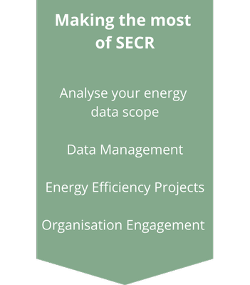 Making-the-most-of-SECR