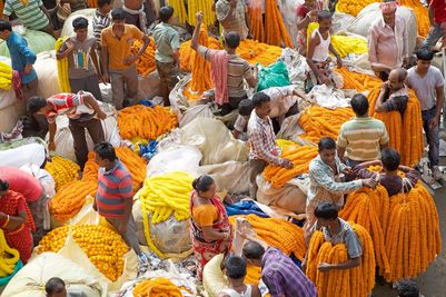 KolkataFlowerMarket_India_dreamstime62735305.jpg