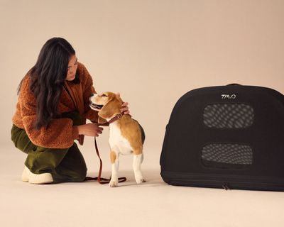 Tavo_Crispin_Pet_Travel_Crate_Studio_Lifestyle_19_Original[1].JPG