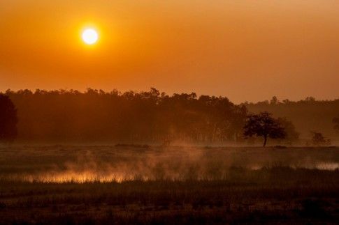 Kanha National Park Singinawa Wild Central India.jpg
