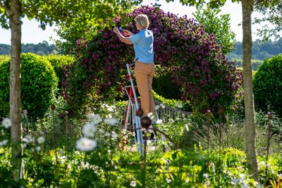 Henchman Fully Adjustable PRO Tripod Ladder