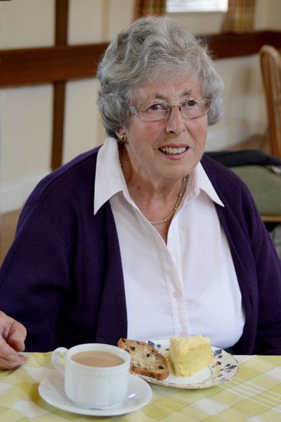 Vegetarian lady with slices of cake and a cup of tea