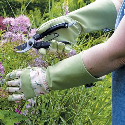 ultralight-bypass-pruner-dragonfly-gauntlet-lifestyle.jpg