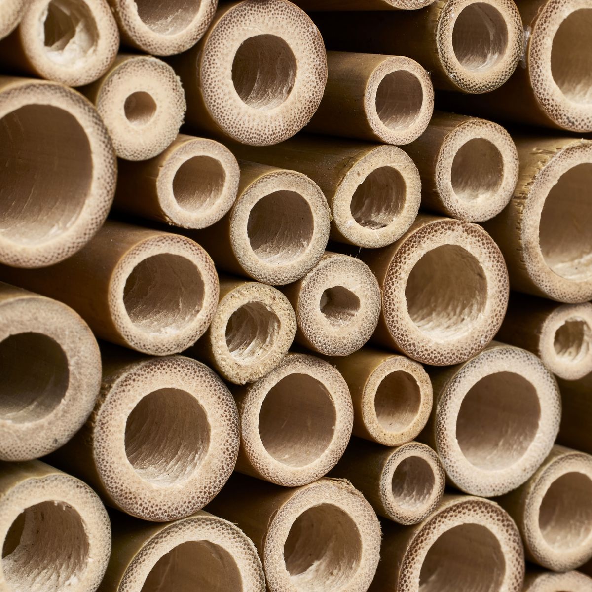 Bamboo inlay