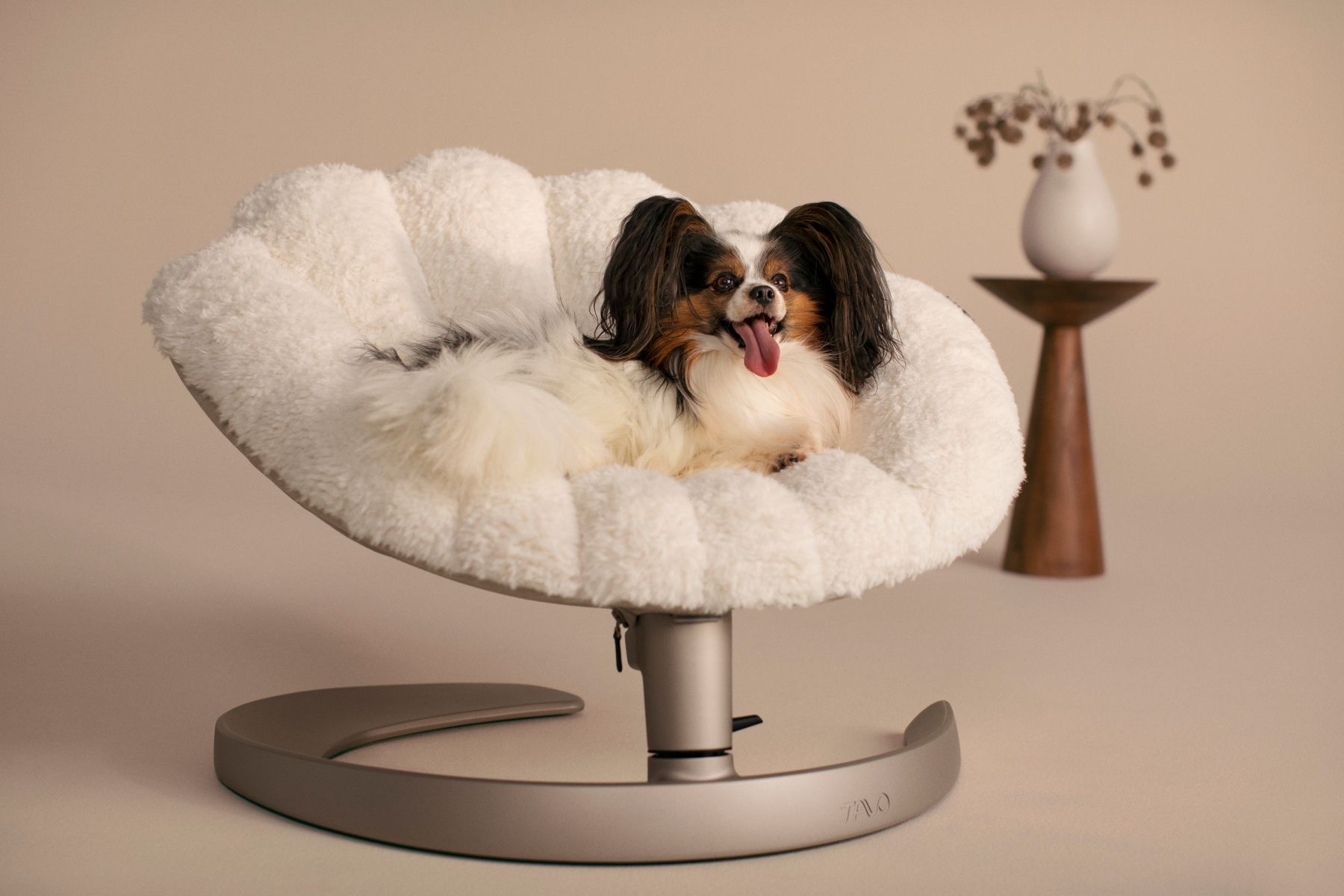 Shell Pet Bed and Sway Lounger