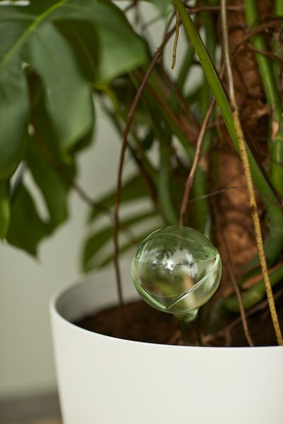 aqua care 9cm transparent