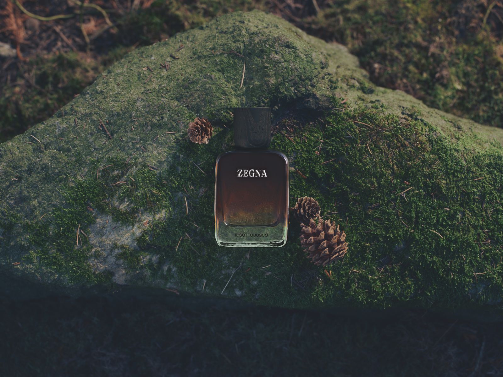 Vol. IV — IL SOTTOBOSCO