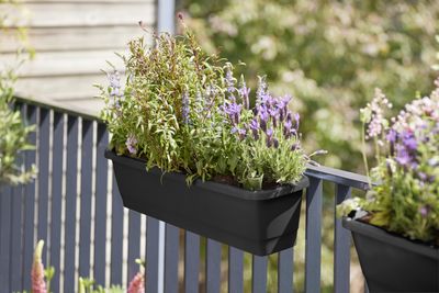 noa balcony trough living black