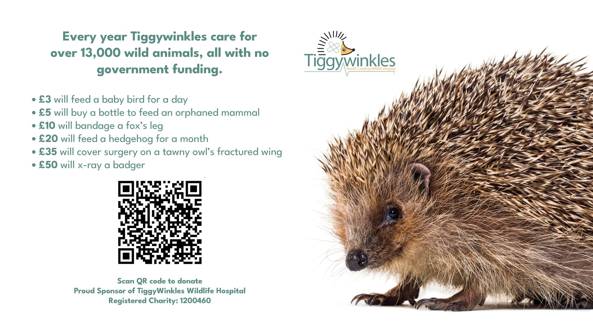 tiggwinkles.jpg