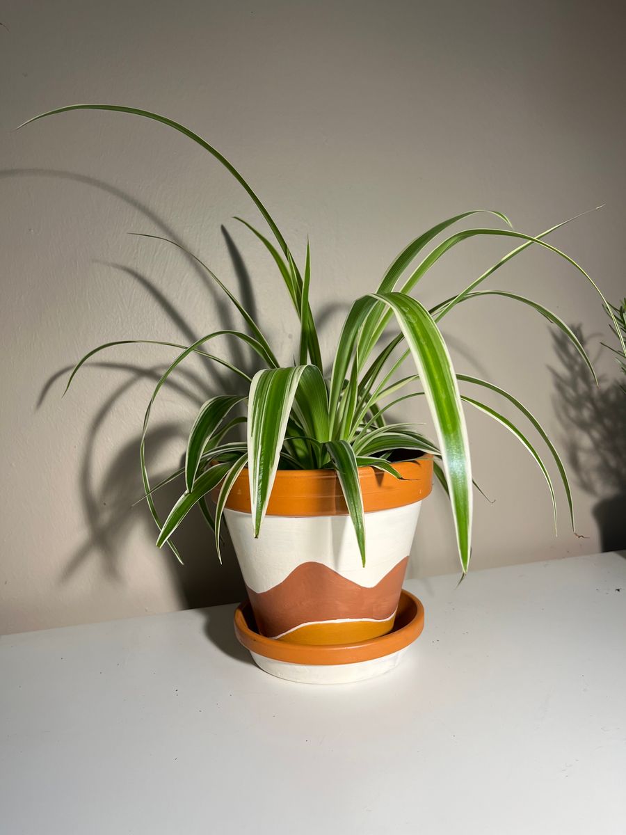 A planter of the type that can be decorated in the Levens Hall and Gardens Summer 2025 workshop.
