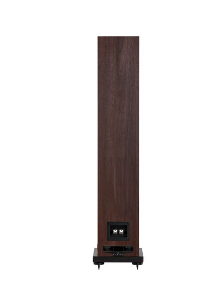 F55E Rear walnut.jpg