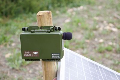 Device and Solar Panel.jpeg