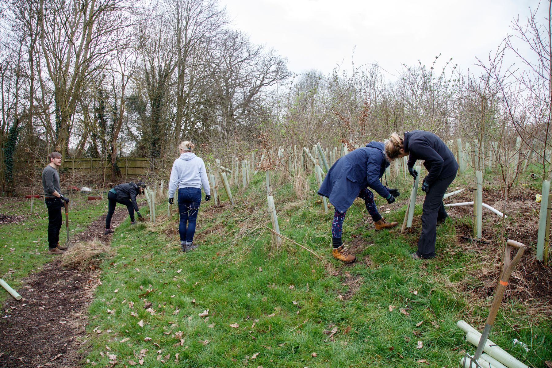 Ecotone employees take Green Leave to plant 1,000 trees at Shinfield St. Mary’s School in Reading with The Tree Council, photo credit - Simon Murrell photography (4).jpg