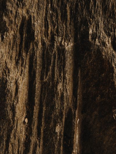 YERA-Details-1©Charlotte Lapalus-FORESTIS (21).jpg