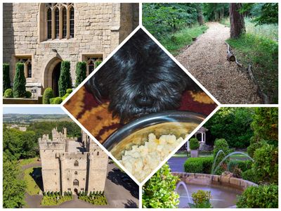 'George' enjoy his Poochy Dejeuner at Langley Castle Hotel,