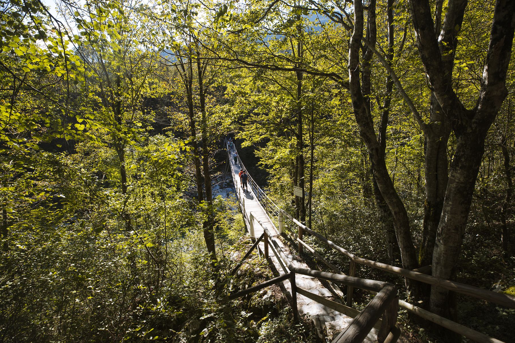 Juliana Trail