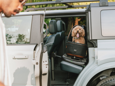 The award-winning Maeve 3-in-1 Pet Protection System redefines luxury and safety for pet travel. 
