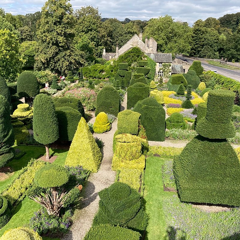 Head gardener's view when trimming trees in the world's oldest topiary garden, at Levens Hall and Gardens, Cumbria, UK.