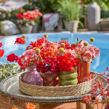 2024-Geraniums-4000-Exotic-Garden-Getaway-21-1.jpg