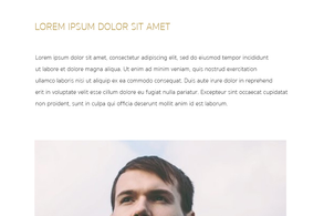 Screencapture of Blogger