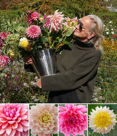 Lucinda Chambers Collage - Jonatthan Buckley credit.jpg