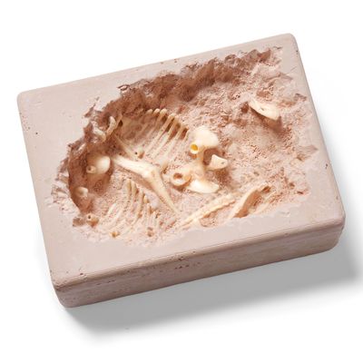 Natural History Museum T.rex Evacuation Kit