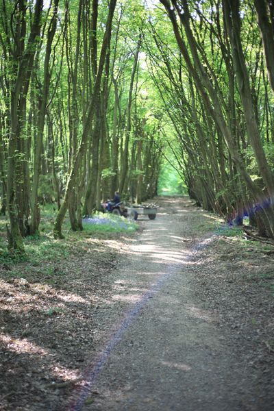 Woodlands.co.uk                                                                                                      