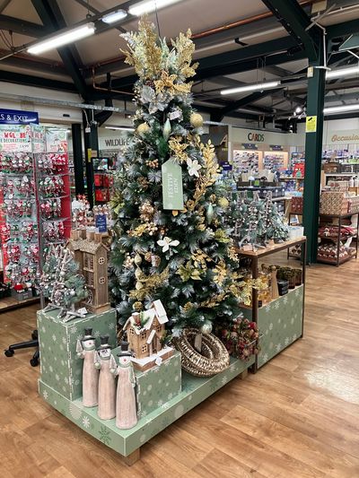 Hillier Garden Centres and Nurseries - Christmas 2024