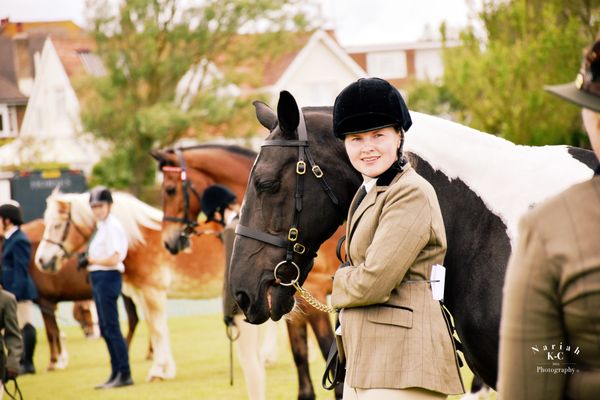 Showing Arena