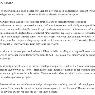 Screencapture of The Sunday Times